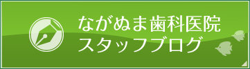 スタッフブログ